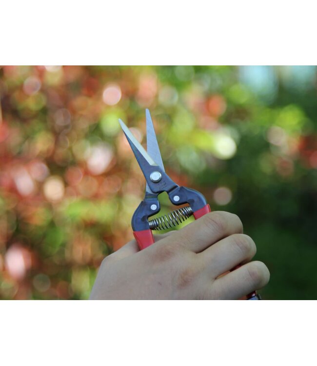 Ars bloemen/fruit/oogstschaar