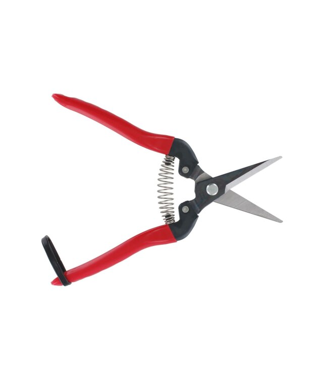 Ars bloemen/fruit/oogstschaar