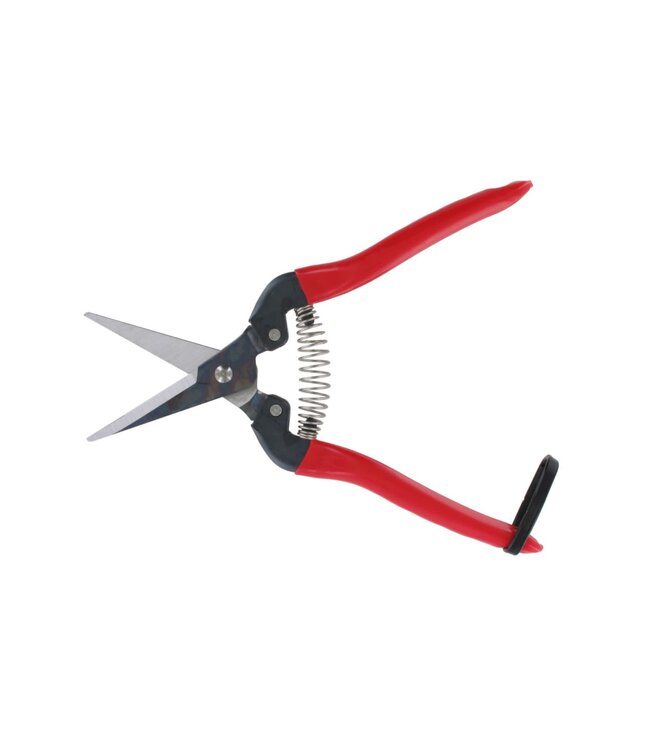 Ars bloemen/fruit/oogstschaar