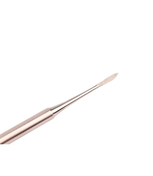 Dreiturm nagelkuiser RVS