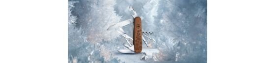 Winter Magic - Limited Edition 2025