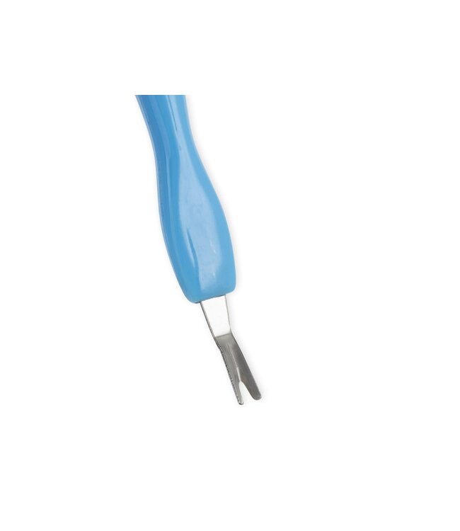 Credo nagelriemmesje