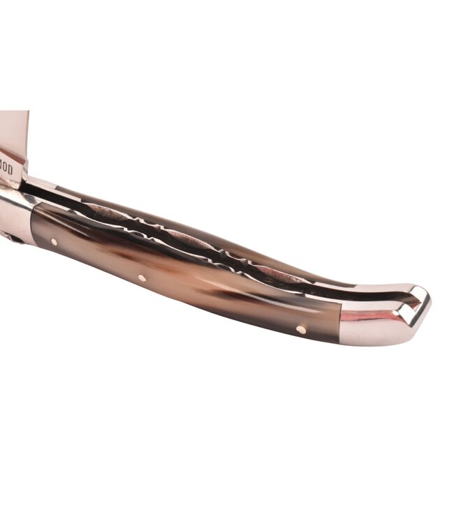 Laguiole en Aubrac 12cm pointe de corne - platines guillochées - glanzend