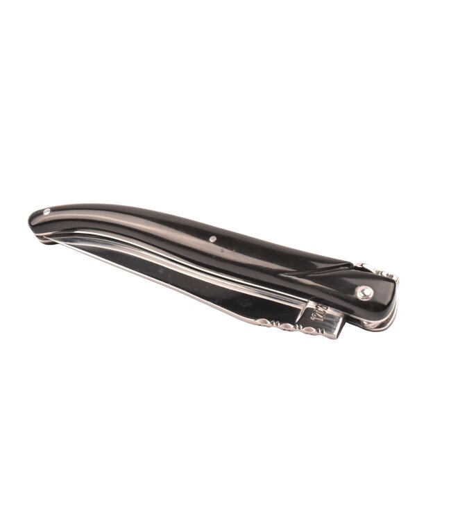 Laguiole en Aubrac 12cm buffelhoorn - plein manche - glanzend