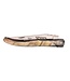 Laguiole en Aubrac 12cm ramshoorn - plein manche