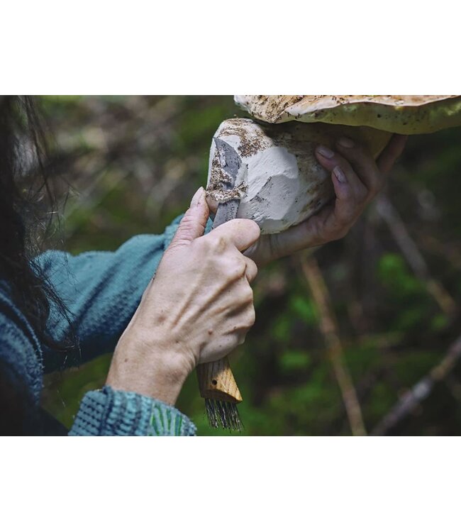 Opinel N°08 champignonszakmes met etui