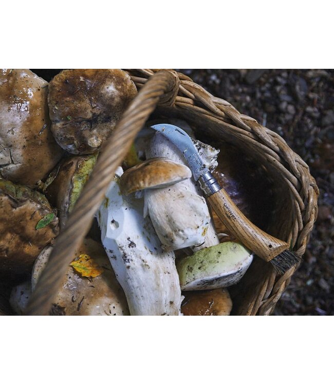 Opinel N°08 champignonszakmes met etui