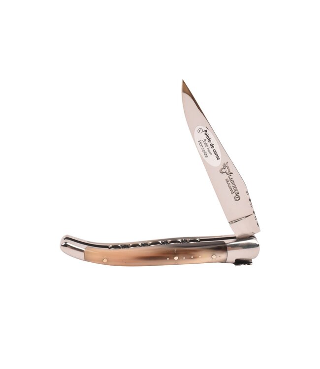 Laguiole en Aubrac 10cm pointe de corne - platines guillochées - glanzend