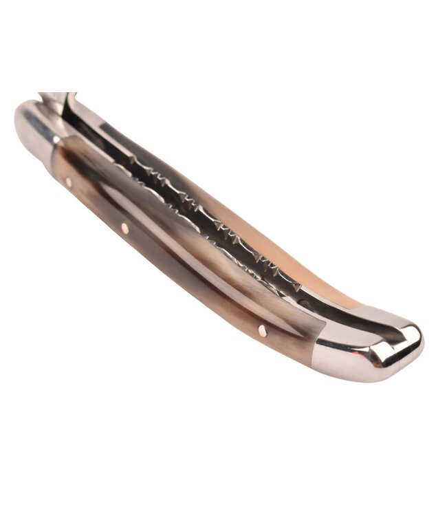 Laguiole en Aubrac 10cm pointe de corne - platines guillochées - glanzend
