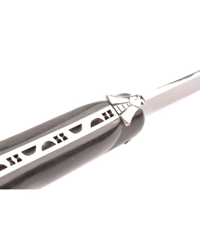 Laguiole en Aubrac champagnezwaard buffel - plein manche