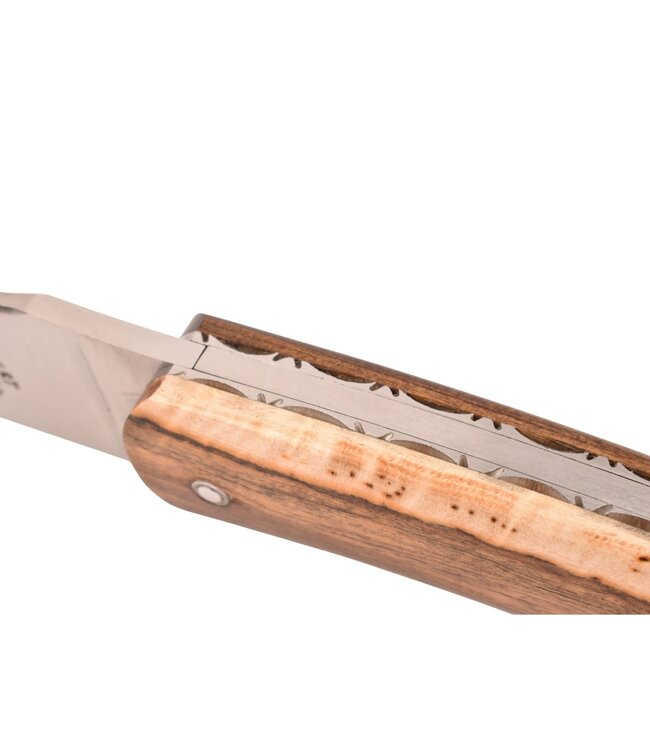 Camembert 11cm pistache - platines guillochées