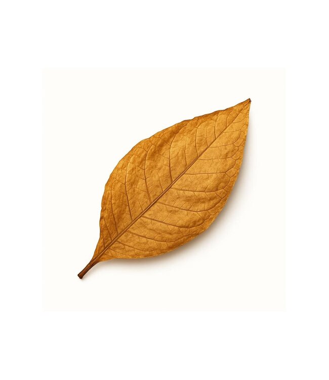 Taylor of Old Bond Street luxury aftershave balsem - Tabacco Leaf - in tube - 75ml