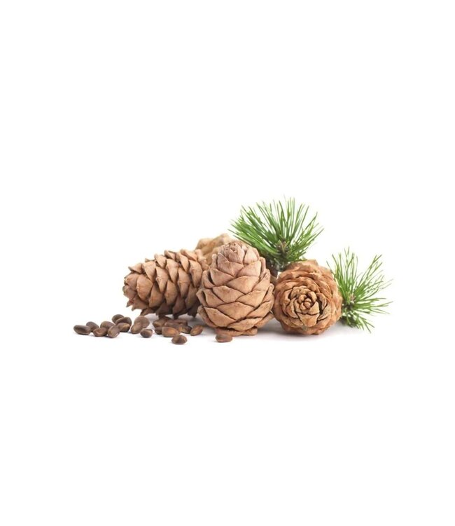 Taylor of Old Bond Street scheercrème - Cedarwood - 75ml