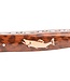 Laguiole en Aubrac 12cm slangenhout - marqueterie forel in ivoor - glanzend