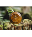 Truefitt & Hill Luxe Scheerzeep in Houten Doos - Highgrove - 100g