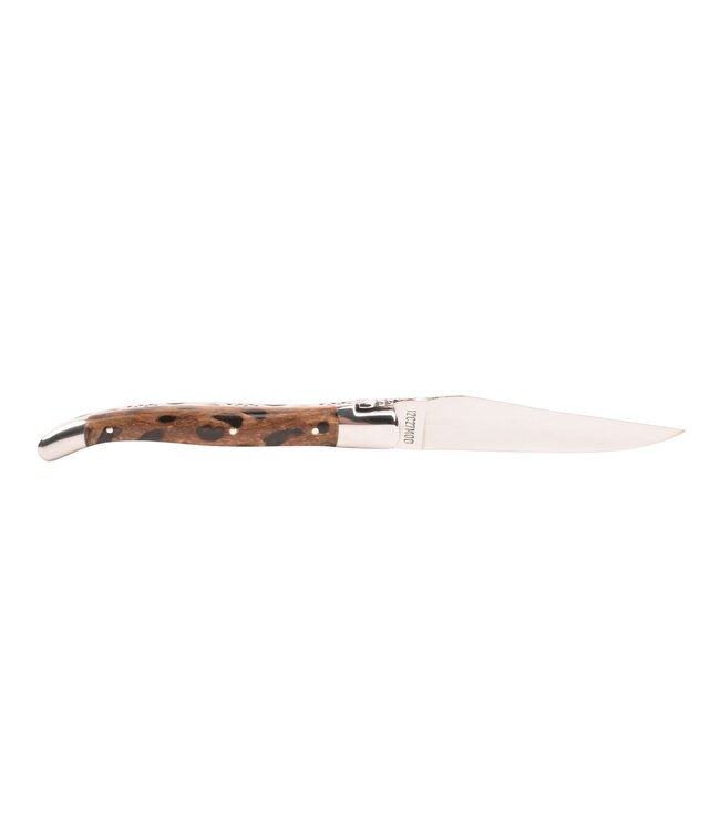 Laguiole en Aubrac 12cm cactus - glanzend