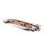 Laguiole en Aubrac 12cm cactus - glanzend