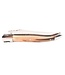 Laguiole en Aubrac #0017 12cm punthoorn - double platines - glanzend