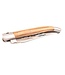 Laguiole en Aubrac #0021 12cm pistache - platines guillochées - mat