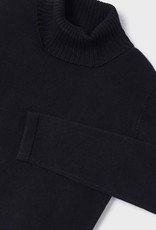 Basic Turtleneck