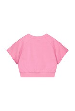 Lady Sweater Short Sleeve