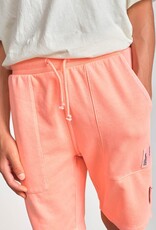 Narcibo Sweat Shorts