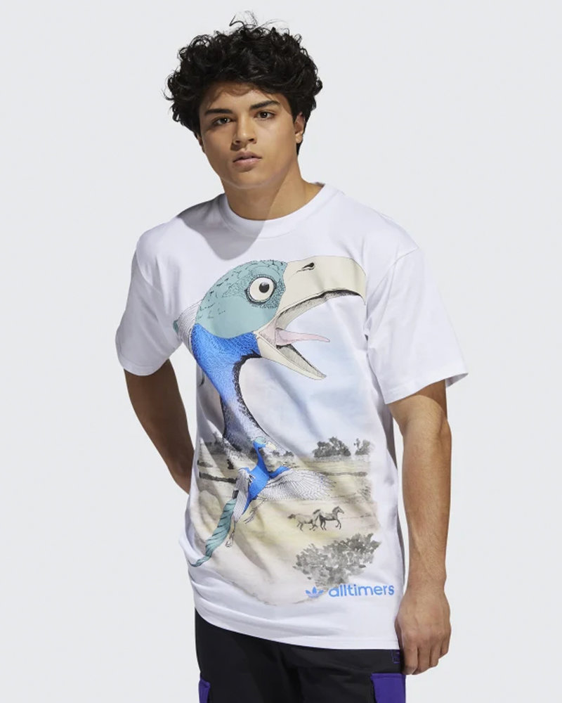 Adidas Skateboarding adidas x Alltimers T-Shirt White/Multicolor
