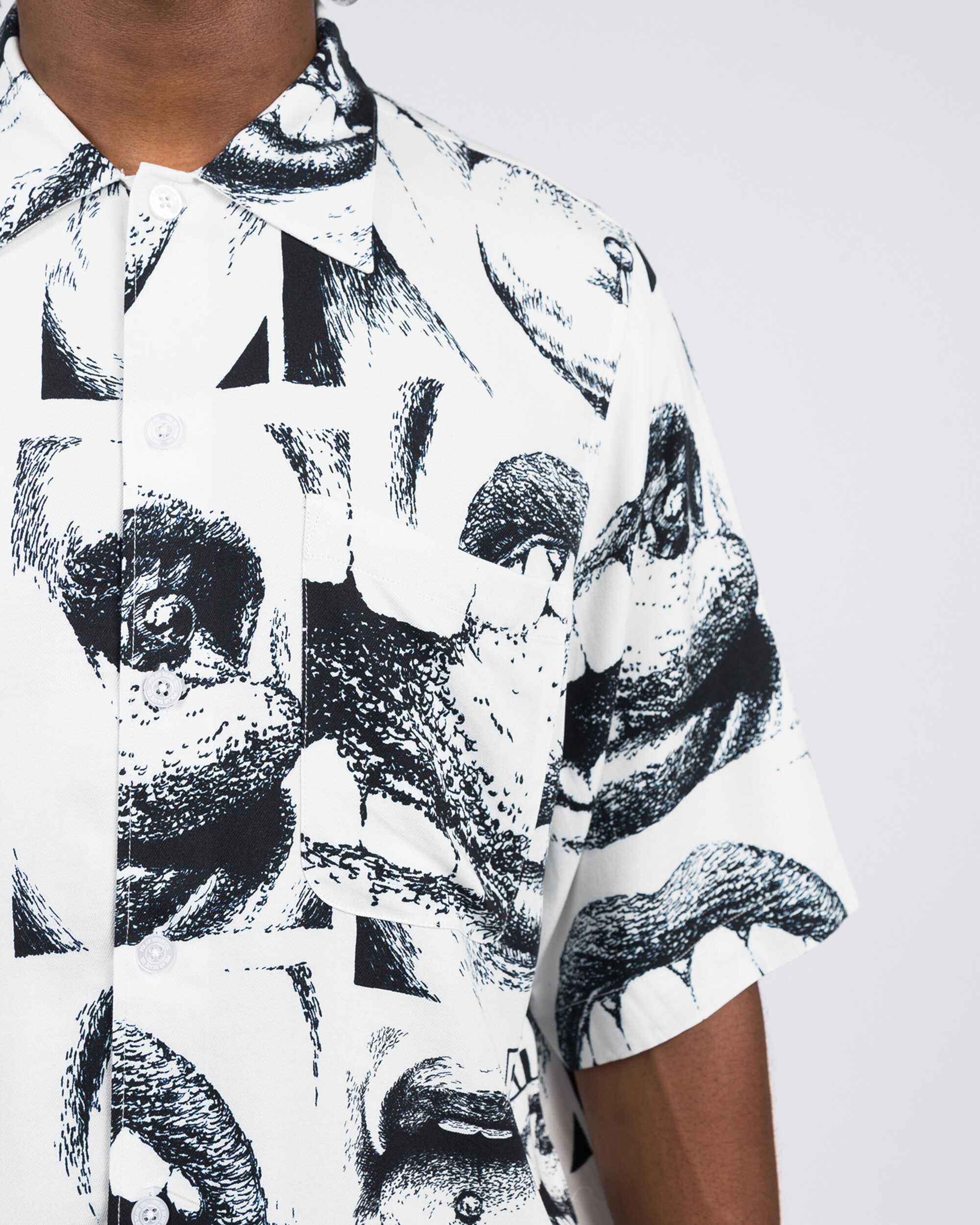 Polar X Iggy Alternative Youth Shirt White