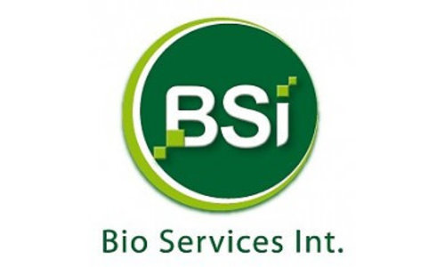 BSI