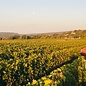 - Les 3 Grains Rosé 2019
