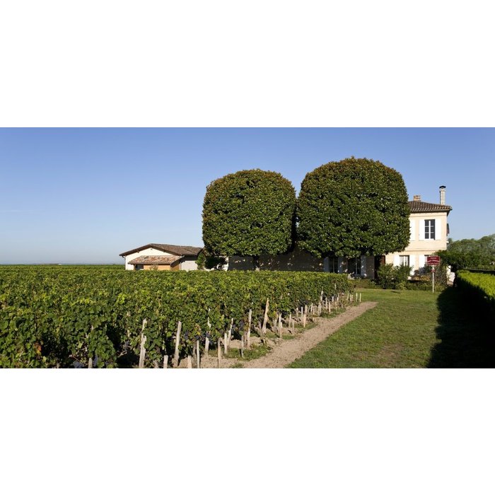 - Château Haut Segottes 2015 - Saint Emilion Grand Cru