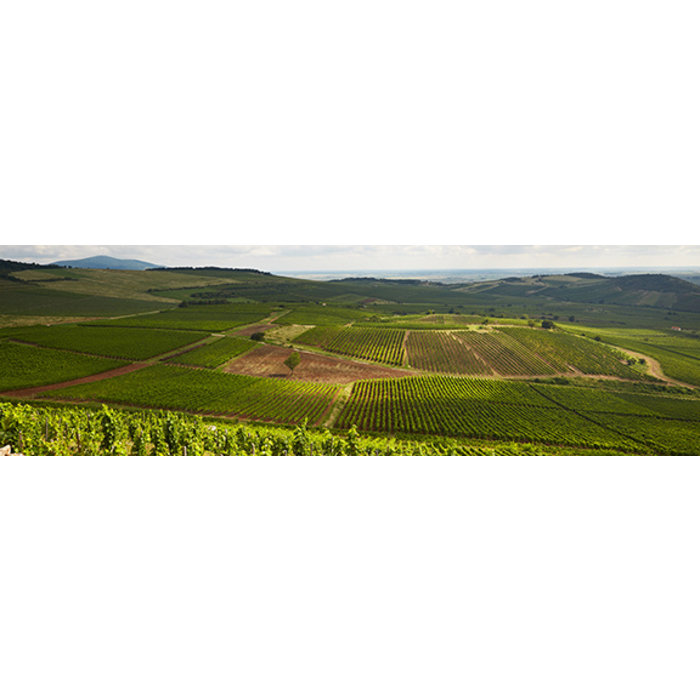 - Tokaji Cuvée Sweet by Zsirai 2018