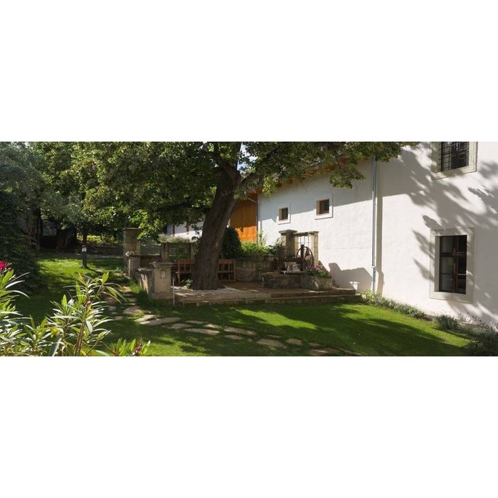 - Furmint  Harslevelu 2018