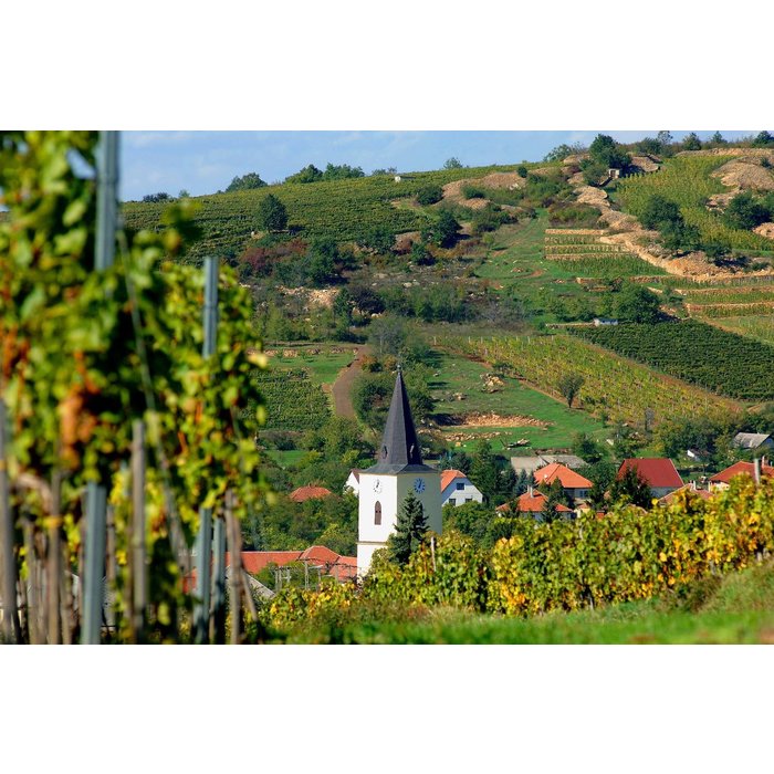 - Furmint  Harslevelu 2018