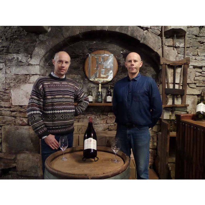 - Meursault "Les Vireuils" 2019