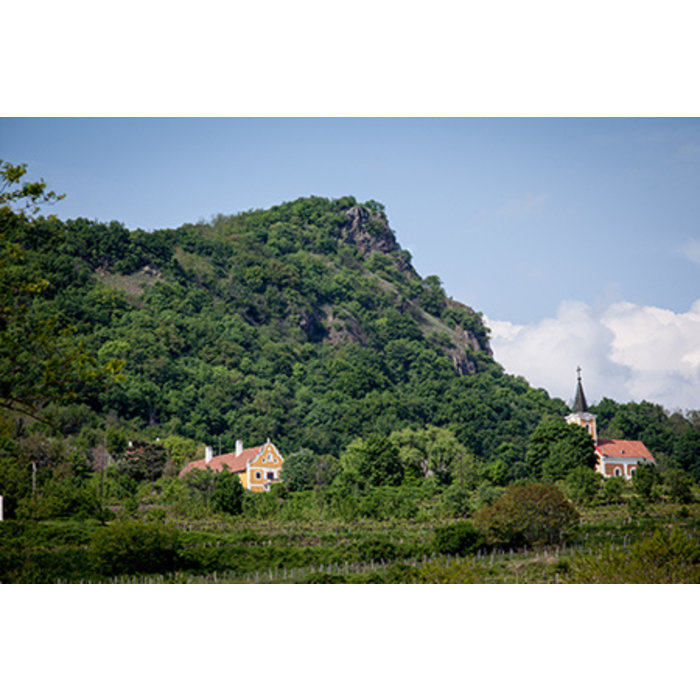- Olaszrizling 2019 bio