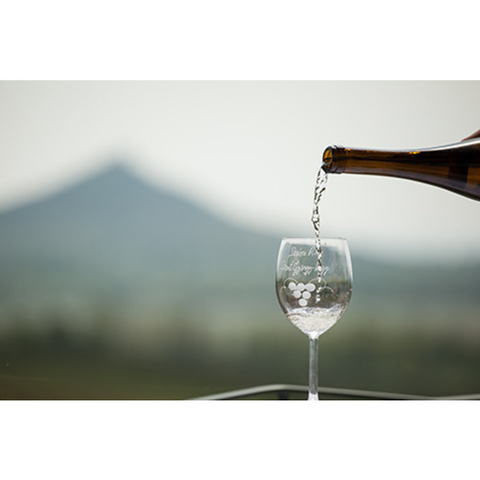 Colis 6 vins bio blancs du Lac Balaton