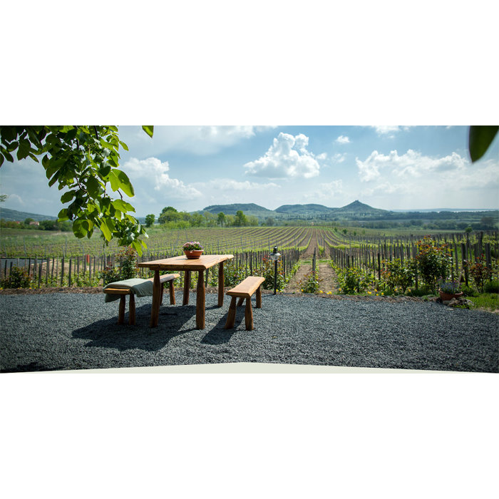 Colis 6 vins bio blancs du Lac Balaton