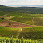 Zsirai Tokaj Dry by Zsirai 2018