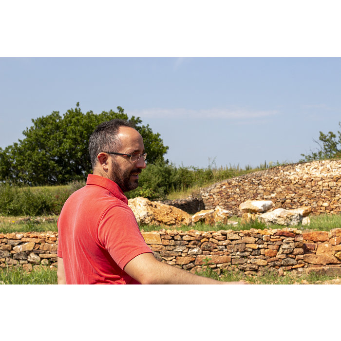 Balassa Dorgo Furmint 2017