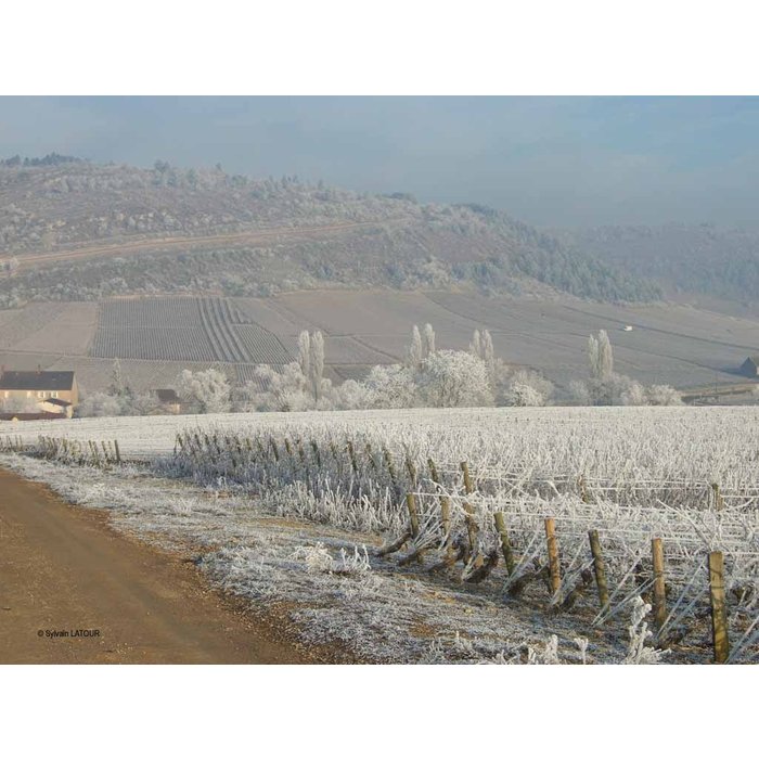 Henri Latour & Fils - Bourgogne Hautes Côtes de Beaune 2018