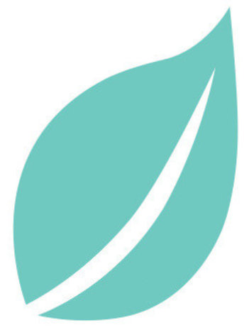 Aladine Izink Natural Deco Paint Sea Green (80866) (OUTLET) Aladine Izink Natural Deco Paint Sea Green (80866) (OUTLET)