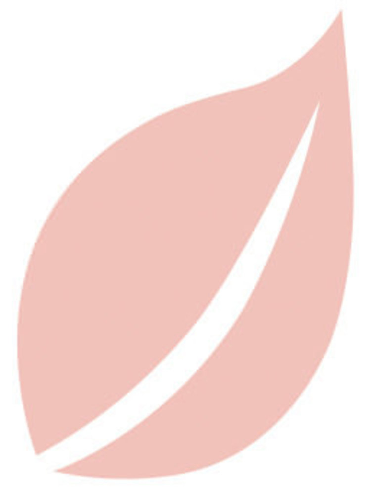 Aladine Izink Natural Deco Paint Rose (8087) (OUTLET) Aladine Izink Natural Deco Paint Rose (8087) (OUTLET)