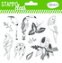 Tropical Birds Clear Stamps (04233) (OUTLET)