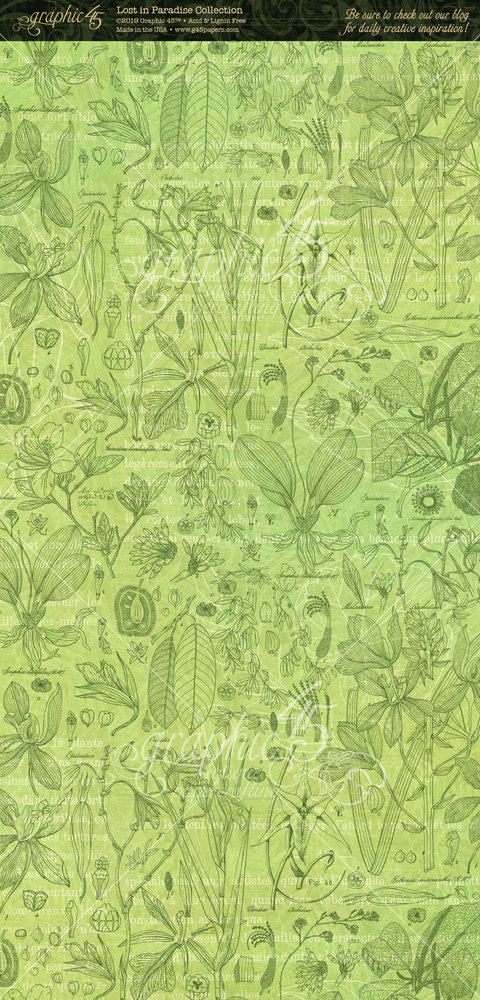 Graphic 45 Lost in Paradise Tags & Pockets (4501898) (OUTLET)