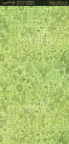 Graphic 45 Lost in Paradise Tags & Pockets (4501898) (OUTLET)