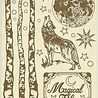 Stamperia Cosmos A5 Wooden Shapes Wolf (KLSP056) (OUTLET) Stamperia Cosmos A5 Wooden Shapes Wolf (KLSP056) (OUTLET)