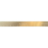 We R Makers Gold Magnetic Ruler 14 Inch (661111) (OUTLET) We R Makers Gold Magnetic Ruler 14 Inch (661111) (OUTLET)