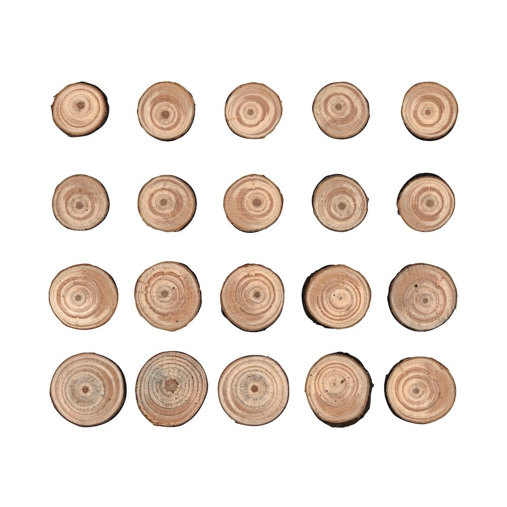Idea-ology Tim Holtz Wood Slices (20pcs) (TH93745) (DISCONTINUED)