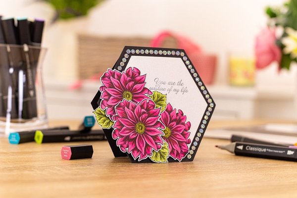 Spectrum Noir Classique Floral (12pcs) (SPECN-CS12-FLO) (DISCONTINUED) Spectrum Noir Classique Floral (12pcs) (SPECN-CS12-FLO) (DISCONTINUED)